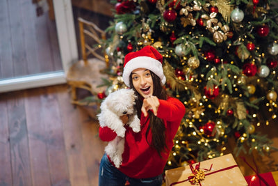 The Best Holiday Gifts for Dogs and Cats