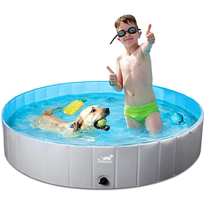 dog-pool-01