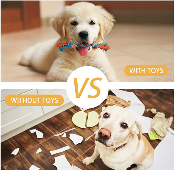 Toozey-DogToys-CowSet-05